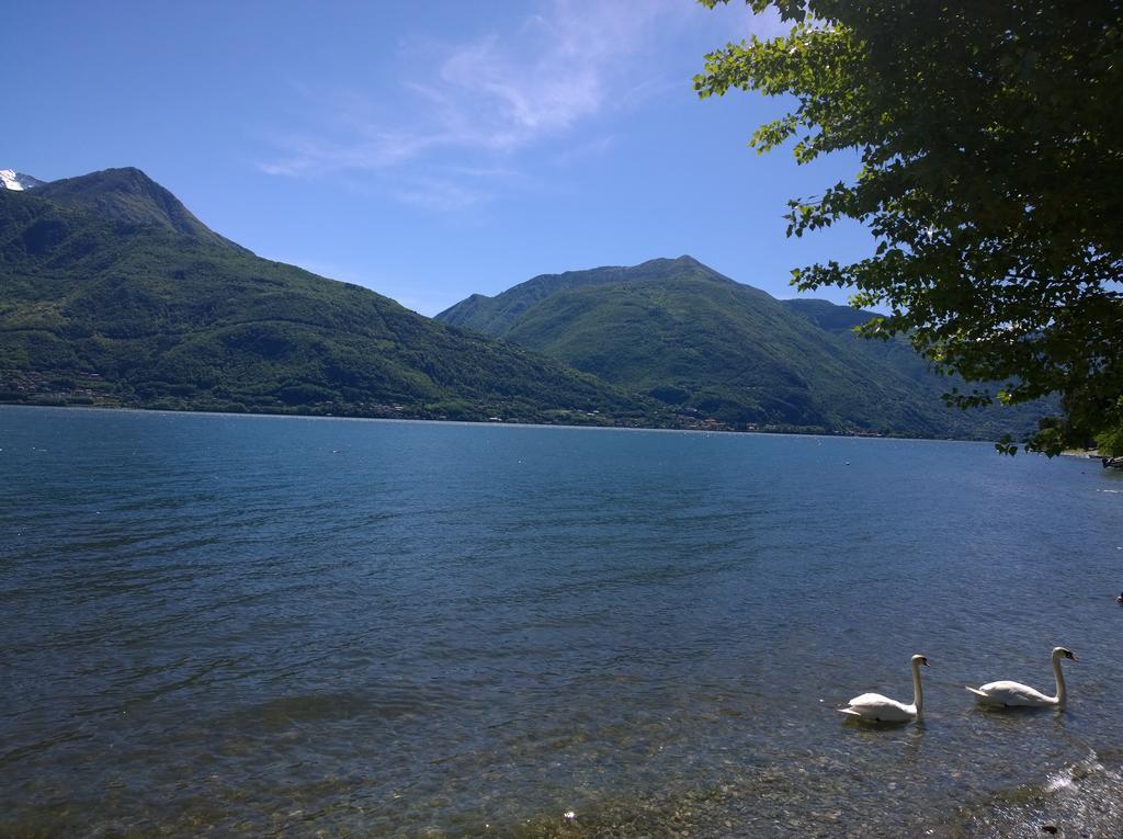 Апартаменты Venanzio! Pianello Del Lario Экстерьер фото
